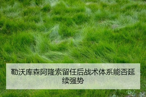 lei-wo-ku-sen-a-long-suo-liu-ren-hou-zhan-shu-ti-xi-neng-fou-yan-xu-qiang-shi-3-753.jpg