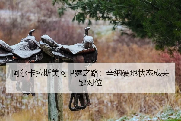 a-er-ka-la-si-mei-wang-wei-mian-zhi-lu-xin-na-ying-di-zhuang-tai-cheng-guan-jian-dui-wei-2-298.jpg