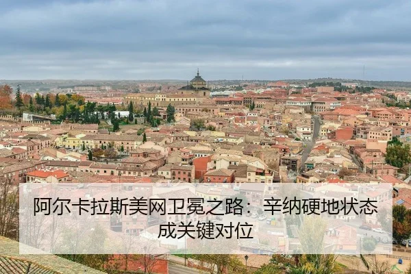 a-er-ka-la-si-mei-wang-wei-mian-zhi-lu-xin-na-ying-di-zhuang-tai-cheng-guan-jian-dui-wei-3-156.jpg